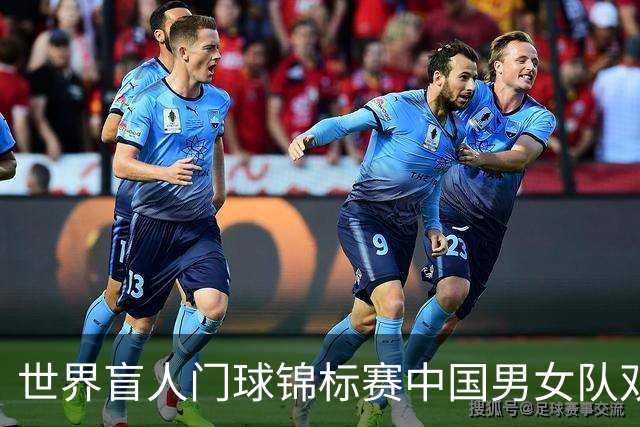 世界盲人门球锦标赛中国男女队双双夺冠